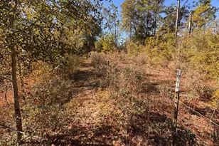 23588 NW Lamont Rd, Fountain, FL 32438 - Photo 13