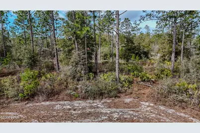 23588 NW Lamont Road, Fountain, FL 32438 - Photo 43