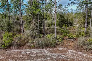 23588 NW Lamont Rd, Fountain, FL 32438 - Photo 43