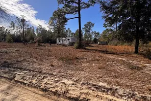 23588 NW Lamont Rd, Fountain, FL 32438 - Photo 17