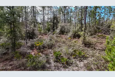 23588 NW Lamont Road, Fountain, FL 32438 - Photo 45