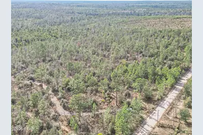 4343 NW Twin Ponds Road, Altha, FL 32421 - Photo 5