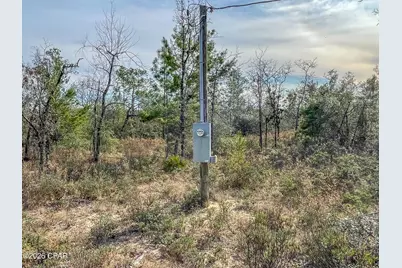 4343 NW Twin Ponds Road, Altha, FL 32421 - Photo 11