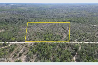 4343 NW Twin Ponds Road, Altha, FL 32421 - Photo 3