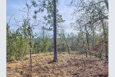 4343 NW Twin Ponds Road, Altha, FL 32421 - Photo 9