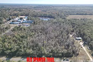 0000 Old Spanish Trail, Sneads, FL 32460 - Photo 1