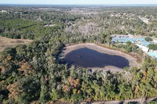 0000 Old Spanish Trail, Sneads, FL 32460 - Photo 1