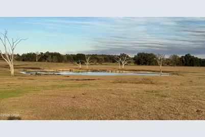 5526 Old U S Road, Malone, FL 32445 - Photo 21