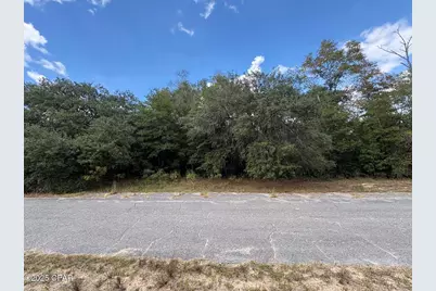 0000 Diane Place, Chipley, FL 32428 - Photo 3
