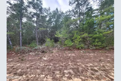 Tbd Luar Avenue, Chipley, FL 32428 - Photo 3