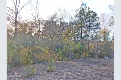 Lot 11 Rim Court #unit  3, Marianna, FL 32448 - Photo 3
