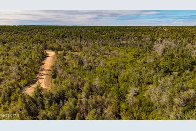 0 Spirit Court, Alford, FL 32420 - Photo 9