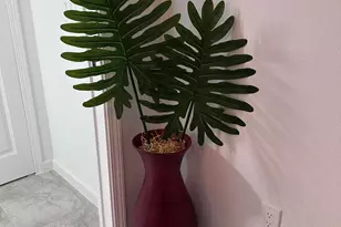 9259 Paradise Dr, Panama City Beach, FL 32413 - Photo 37