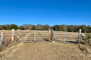 1363 Myrtle Rd, Westville, FL 32464 - Photo 21