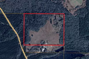 1363 Myrtle Rd, Westville, FL 32464 - Photo 49