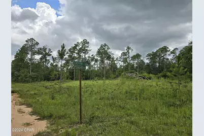 000 Crotan Drive, Alford, FL 32420 - Photo 3