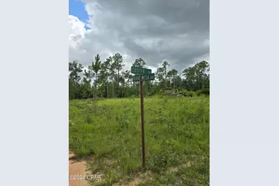 000 Crotan Drive, Alford, FL 32420 - Photo 1