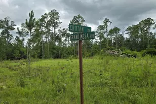 000 Crotan Dr, Alford, FL 32420 - Photo 1