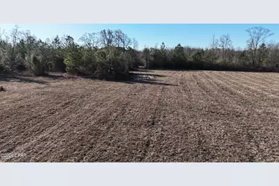 3120 Mount Olive Road, Bonifay, FL 32425 - Photo 9