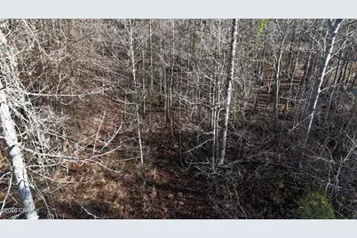 3120 Mount Olive Road, Bonifay, FL 32425 - Photo 11