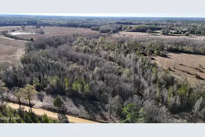 3120 Mount Olive Road, Bonifay, FL 32425 - Photo 3