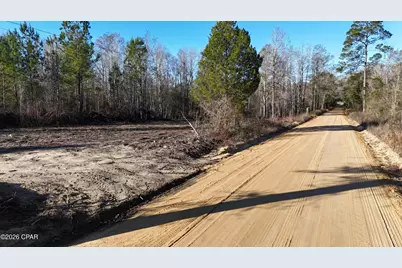 3120 Mount Olive Road, Bonifay, FL 32425 - Photo 5