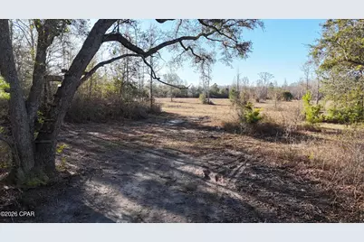 3120 Mount Olive Road, Bonifay, FL 32425 - Photo 7