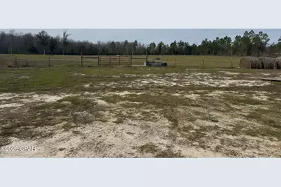 0000 Sandridge Church Road, Grand Ridge, FL 32442 - Photo 5