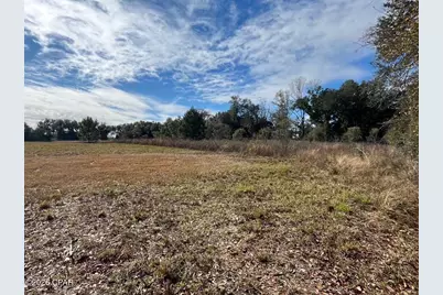 00 Welcome Church Rd, Sneads, FL 32460 - Photo 5