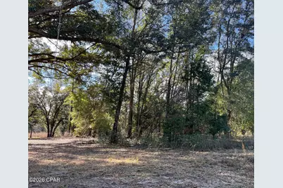 00 Welcome Church Rd, Sneads, FL 32460 - Photo 3