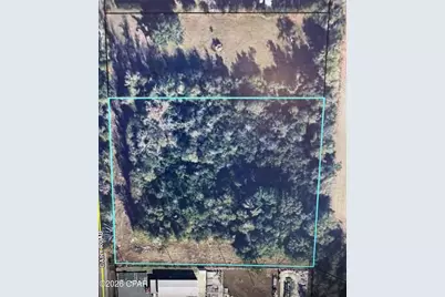 0 Dairy Road, Sneads, FL 32460 - Photo 3