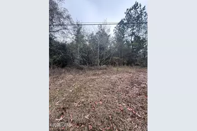 0 Dairy Road, Sneads, FL 32460 - Photo 1