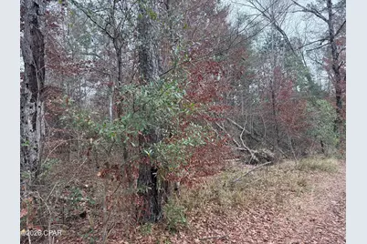 0 Dunn Road, Chattahoochee, FL 32324 - Photo 3