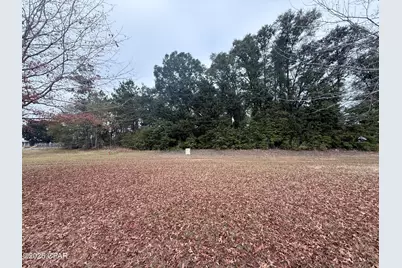 0 Hwy 90, Sneads, FL 32460 - Photo 1