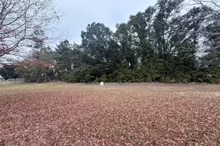 0 Hwy 90, Sneads, FL 32460 - Photo 1