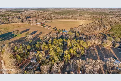 1474 Gavin Road, Bonifay, FL 32425 - Photo 11