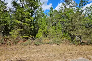 Lot 5 Rockford Dr, Chipley, FL 32428 - Photo 1
