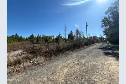 00 Tanner Road, Marianna, FL 32448 - Photo 5
