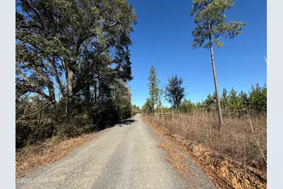 00 Tanner Road, Marianna, FL 32448 - Photo 7