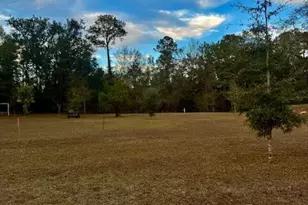 209 Hardaway Hwy, Chattahoochee, FL 32324 - Photo 23