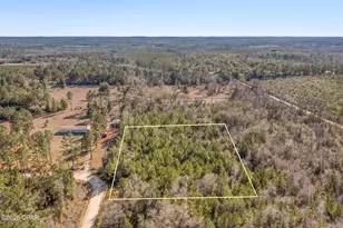 Xxx Schmidt Ln, Chipley, FL 32428 - Photo 1