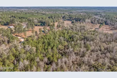 Xxx Schmidt Lane, Chipley, FL 32428 - Photo 9