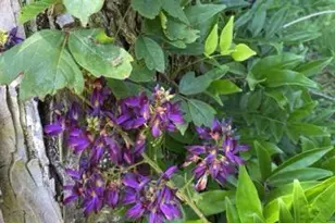 4854 Hwy 231, Campbellton, FL 32426 - Photo 59