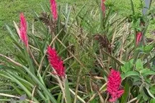 4854 Hwy 231, Campbellton, FL 32426 - Photo 69