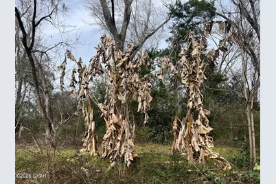 4854 Highway 231, Campbellton, FL 32426 - Photo 31