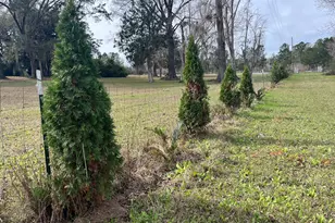 4854 Hwy 231, Campbellton, FL 32426 - Photo 41