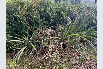 4854 Highway 231, Campbellton, FL 32426 - Photo 29