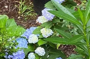 4854 Hwy 231, Campbellton, FL 32426 - Photo 55