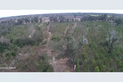 000 Lovewood Road, Cottondale, FL 32431 - Photo 21