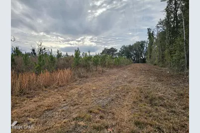 000 Lovewood Road, Cottondale, FL 32431 - Photo 5